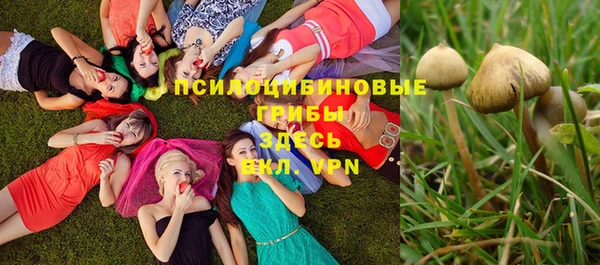 сатива Вязники