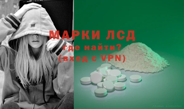 сатива Вязники