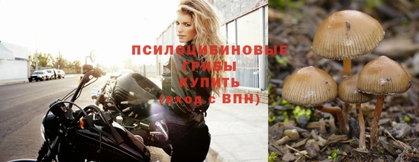 сатива Вязники