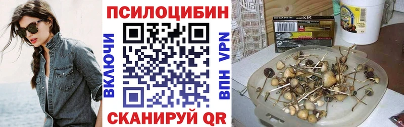 Купить закладки  Кодинск  Псилоцибиновые грибы Cubensis 
