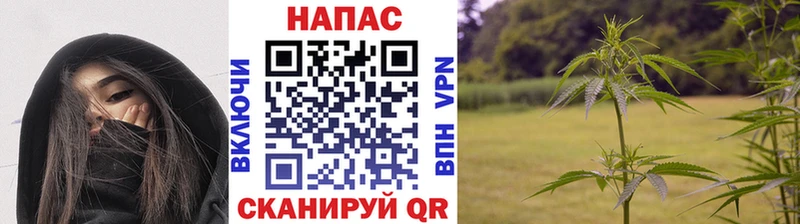 Купить где  Кодинск  МАРИХУАНА индика 